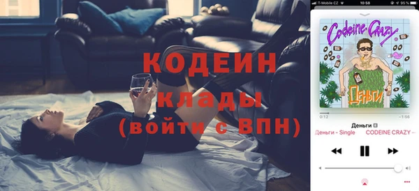 шишки Балахна