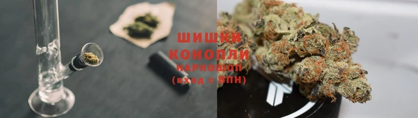 гидра Балабаново