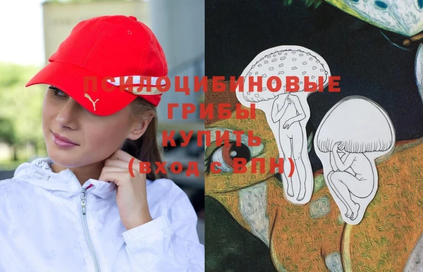 ECSTASY Вязьма