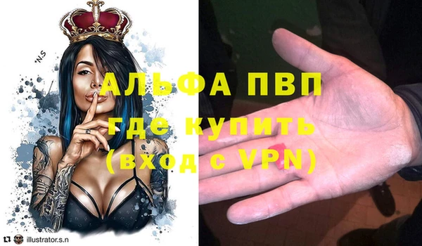 шишки Балахна