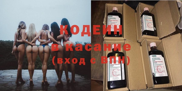шишки Балахна