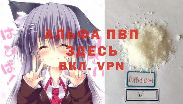 шишки Балахна