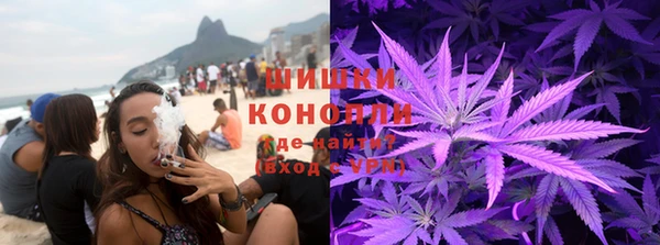 стафф Зерноград