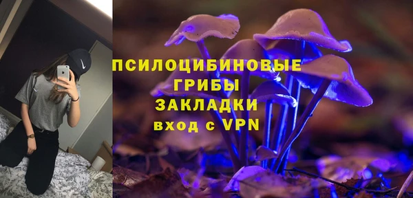 шишки Балахна